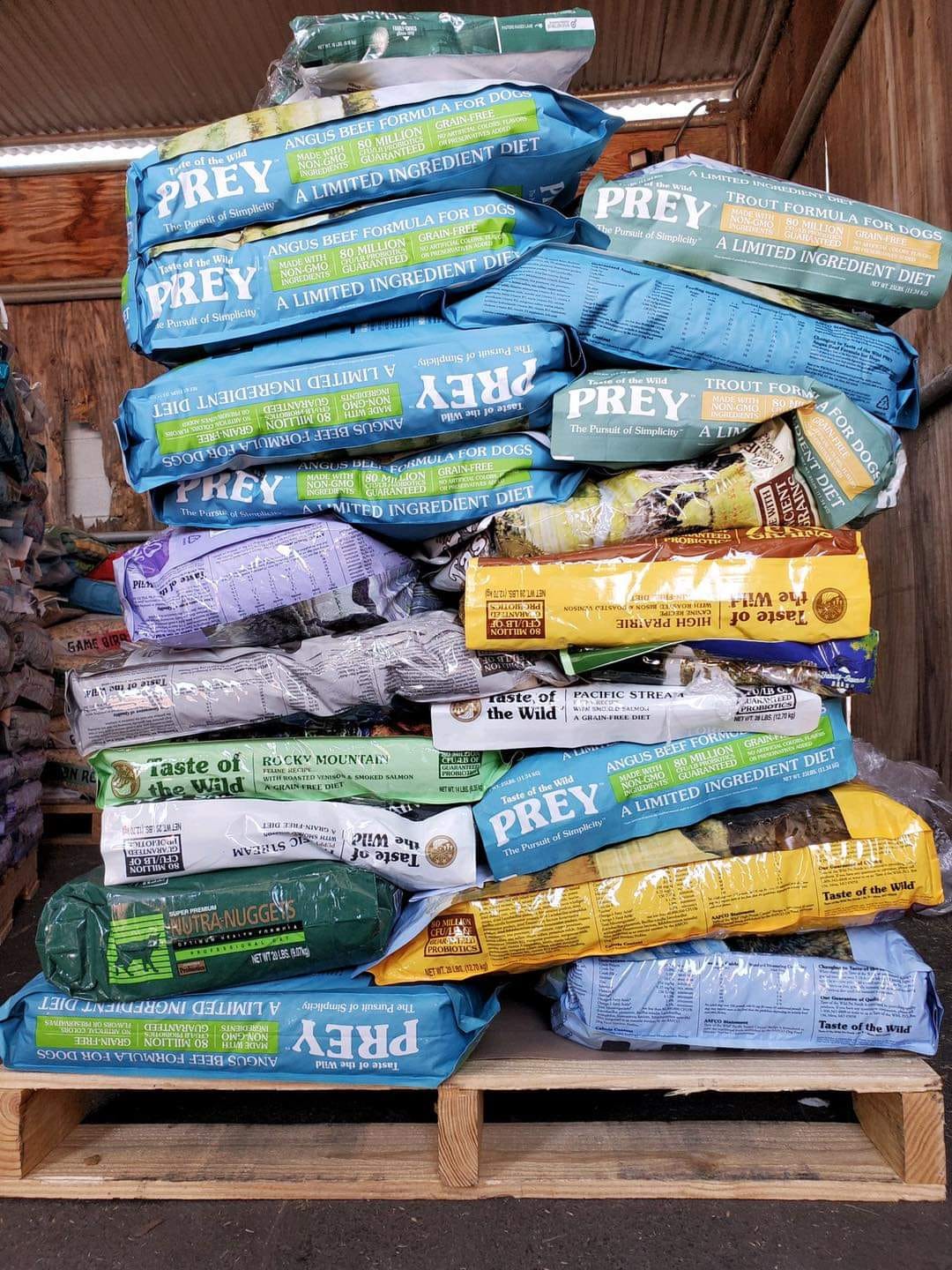 pet-food2-1